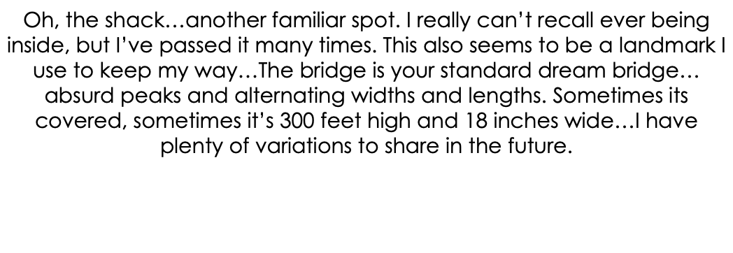 Oh, the shack…another familiar spot. I really can’t recall ever being inside, but I’ve passed it many times. This also seems to be a landmark I use to keep my way…The bridge is your standard dream bridge…absurd peaks and alternating widths and lengths. Sometimes its covered, sometimes it’s 300 feet high and 18 inches wide…I have plenty of variations to share in the future.